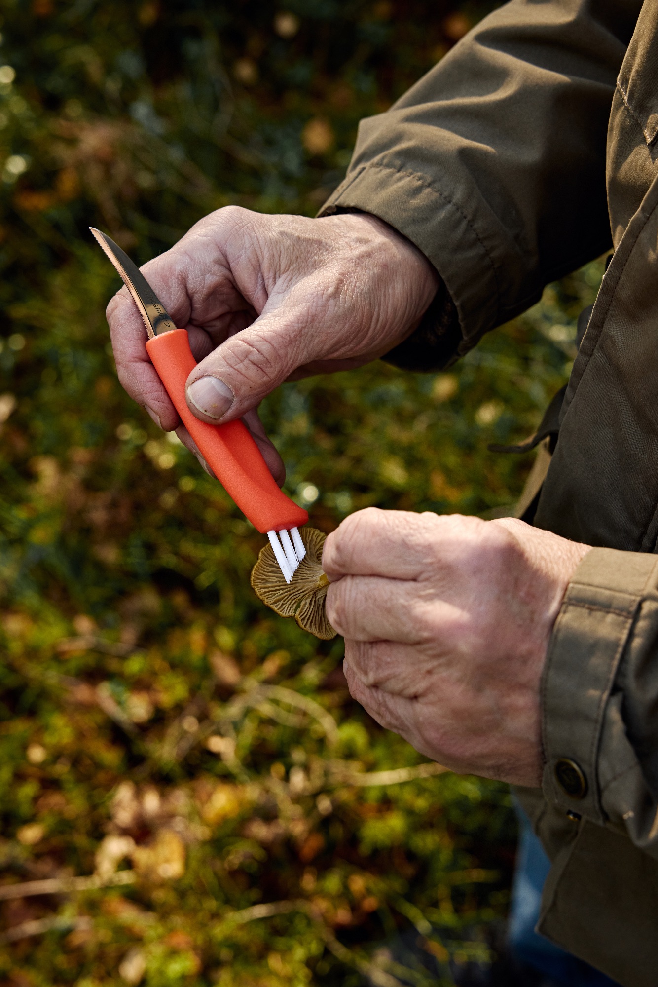 Marttiini Mushroom Knife Ruska  02