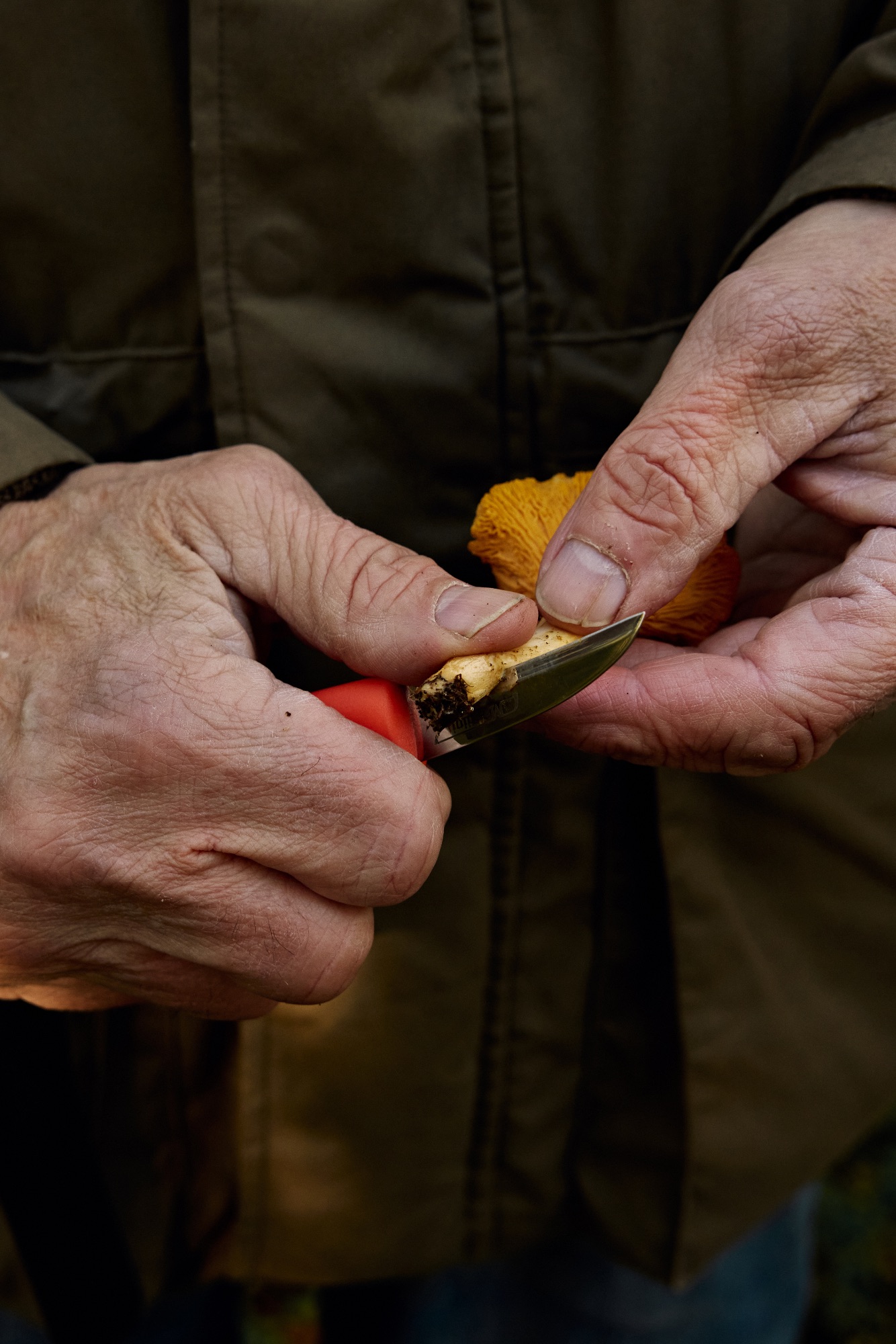 Marttiini Mushroom Knife Ruska  05