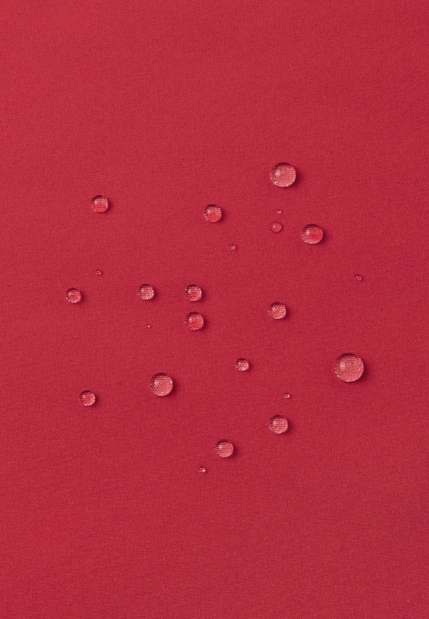 Reima Koivula Tomato 02