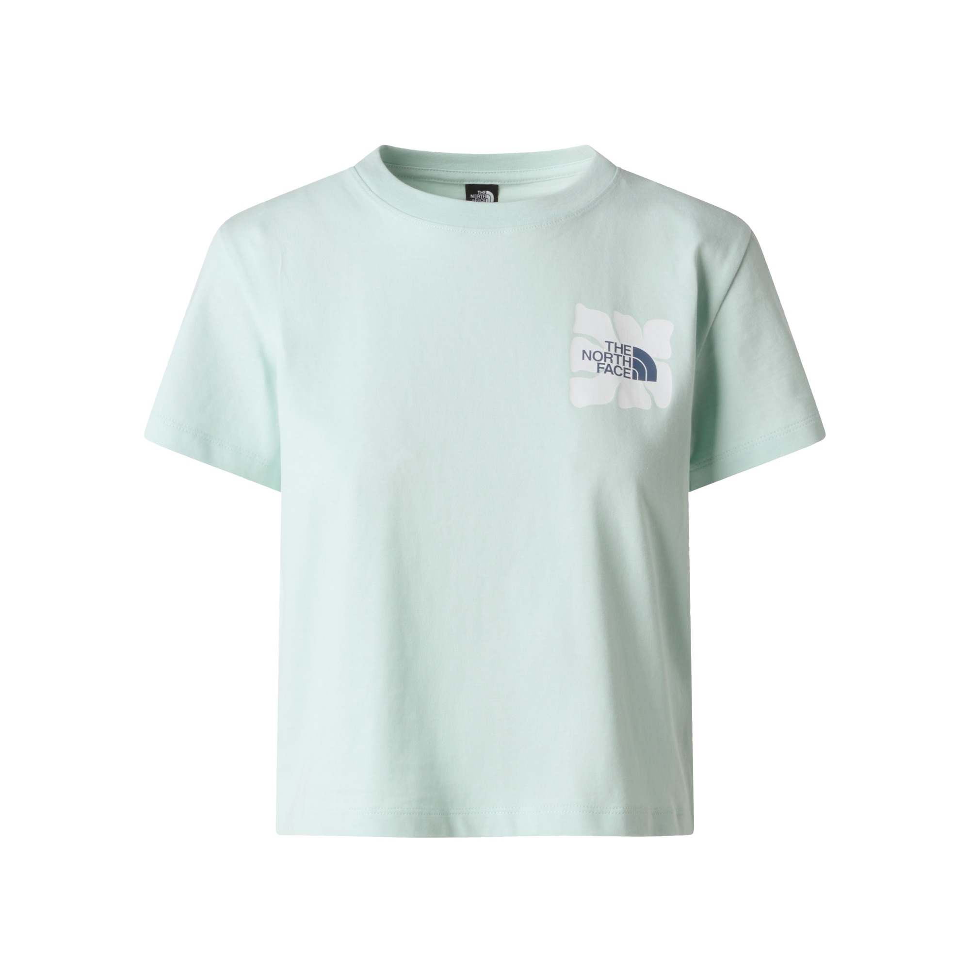 The North Face Women's Sun Regular Graph Cutie Tee Opal 05
