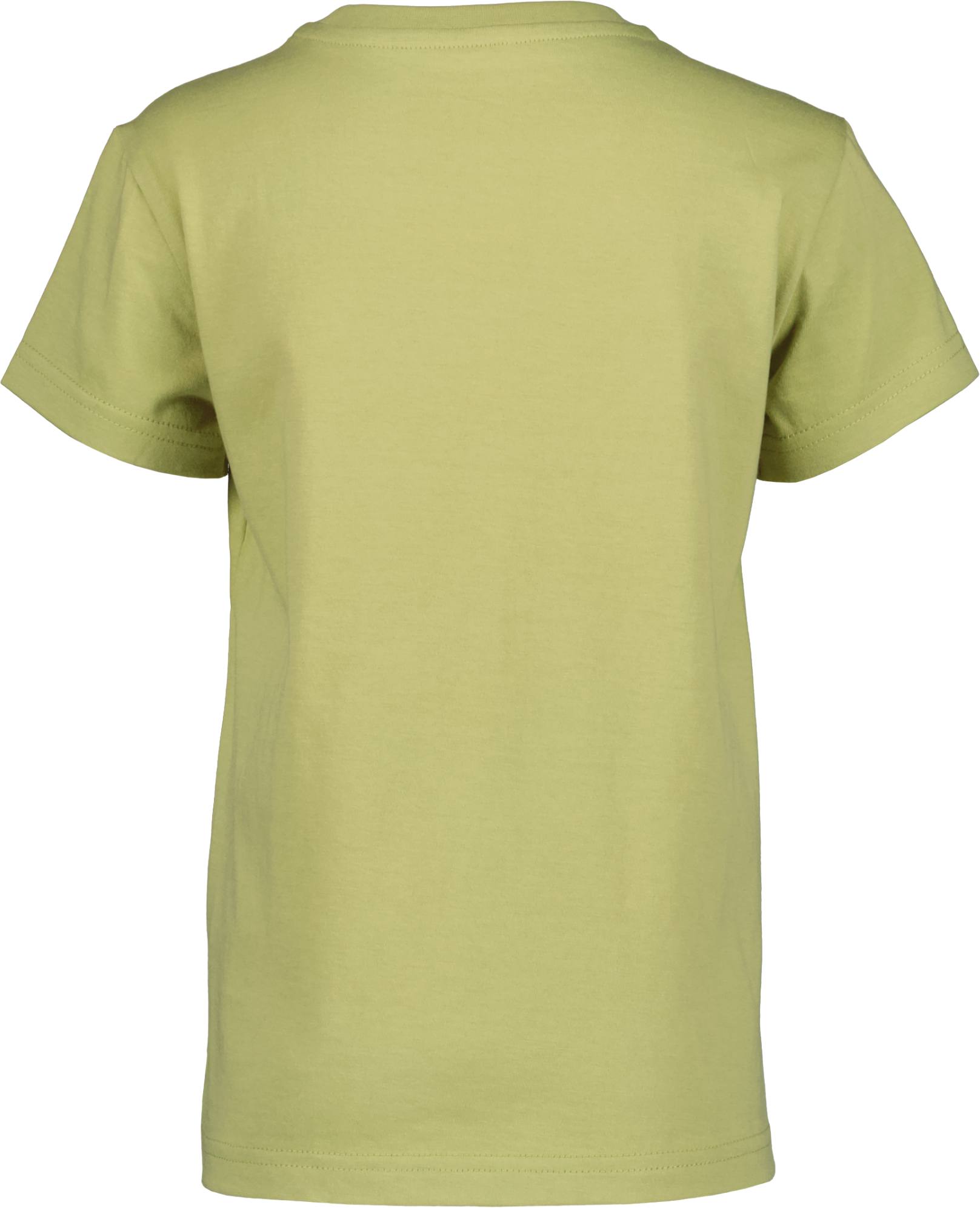 Didriksons Mynta Kids Tee Explore Fern 02