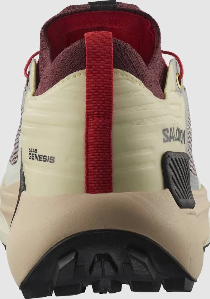 Salomon S/Lab Genesis Vanilla Ice / Decadent Chocola 03