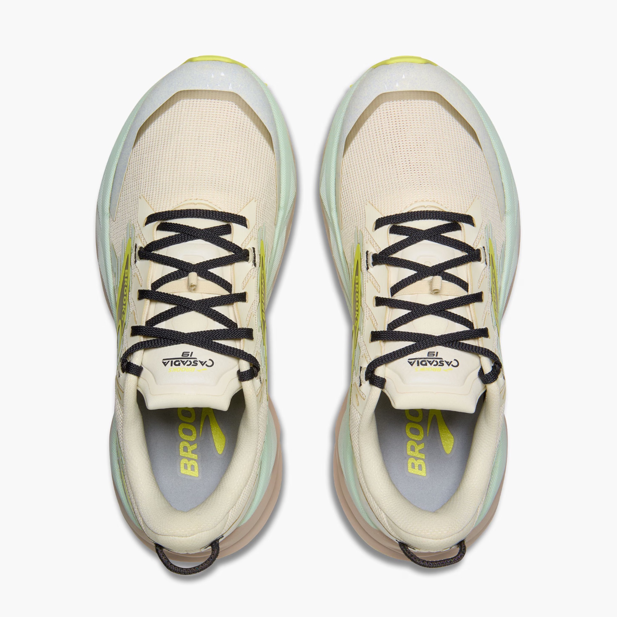 Brooks Women's Cascadia 19 Coconut 05