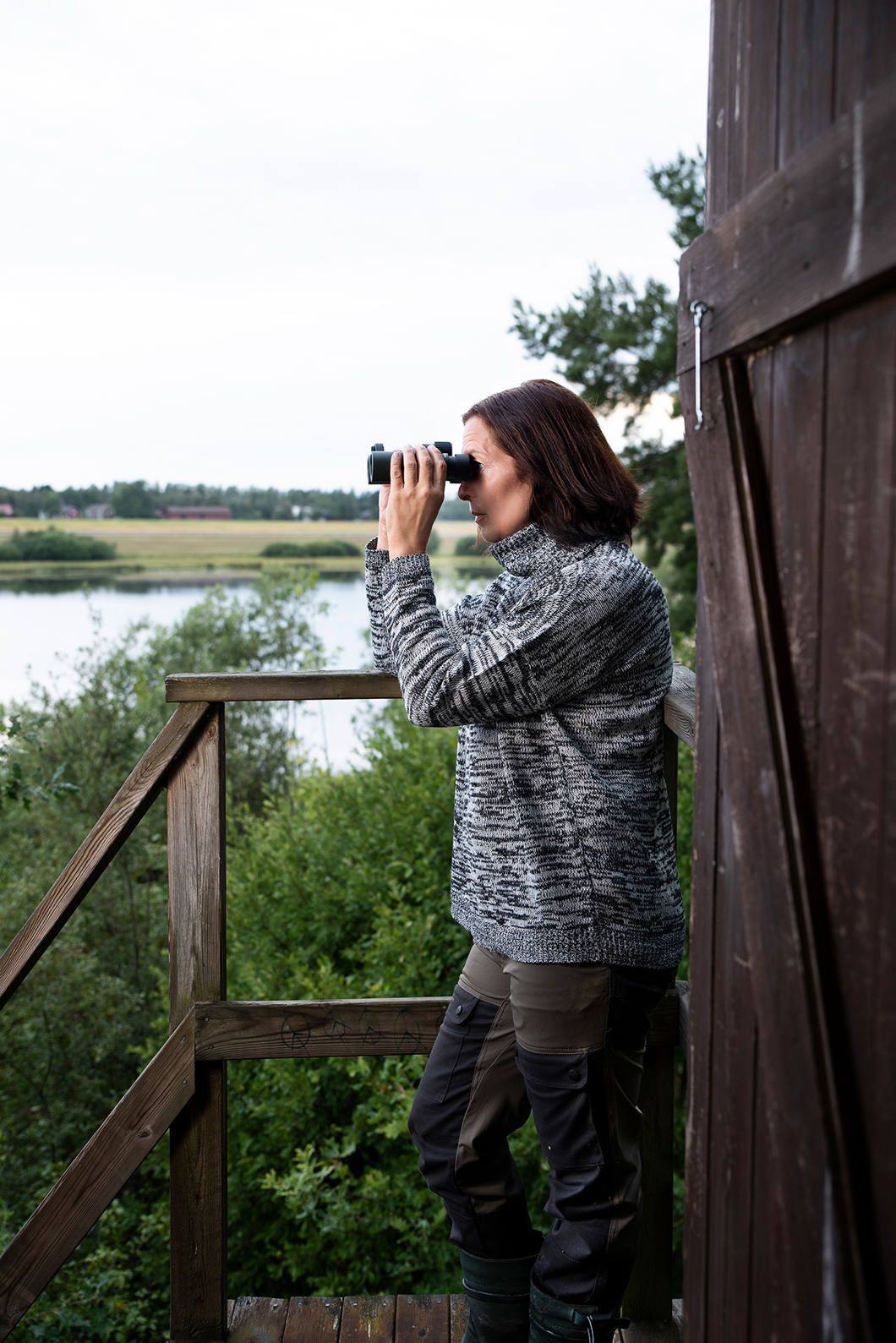 Focus Observer 34 8x34  04