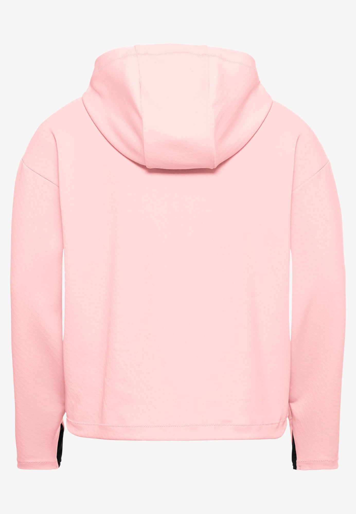 Jack Wolfskin Women's Astrotrail Hoody Rose garden 05