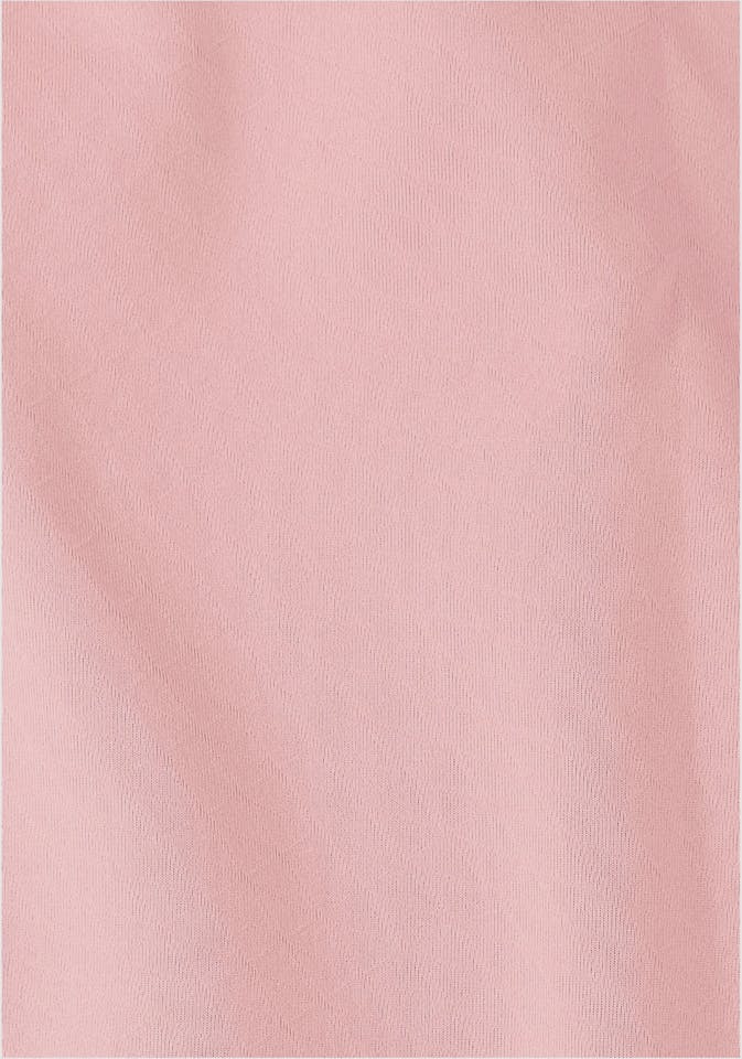 Jack Wolfskin Women's Astrotrail Hoody Rose garden 06