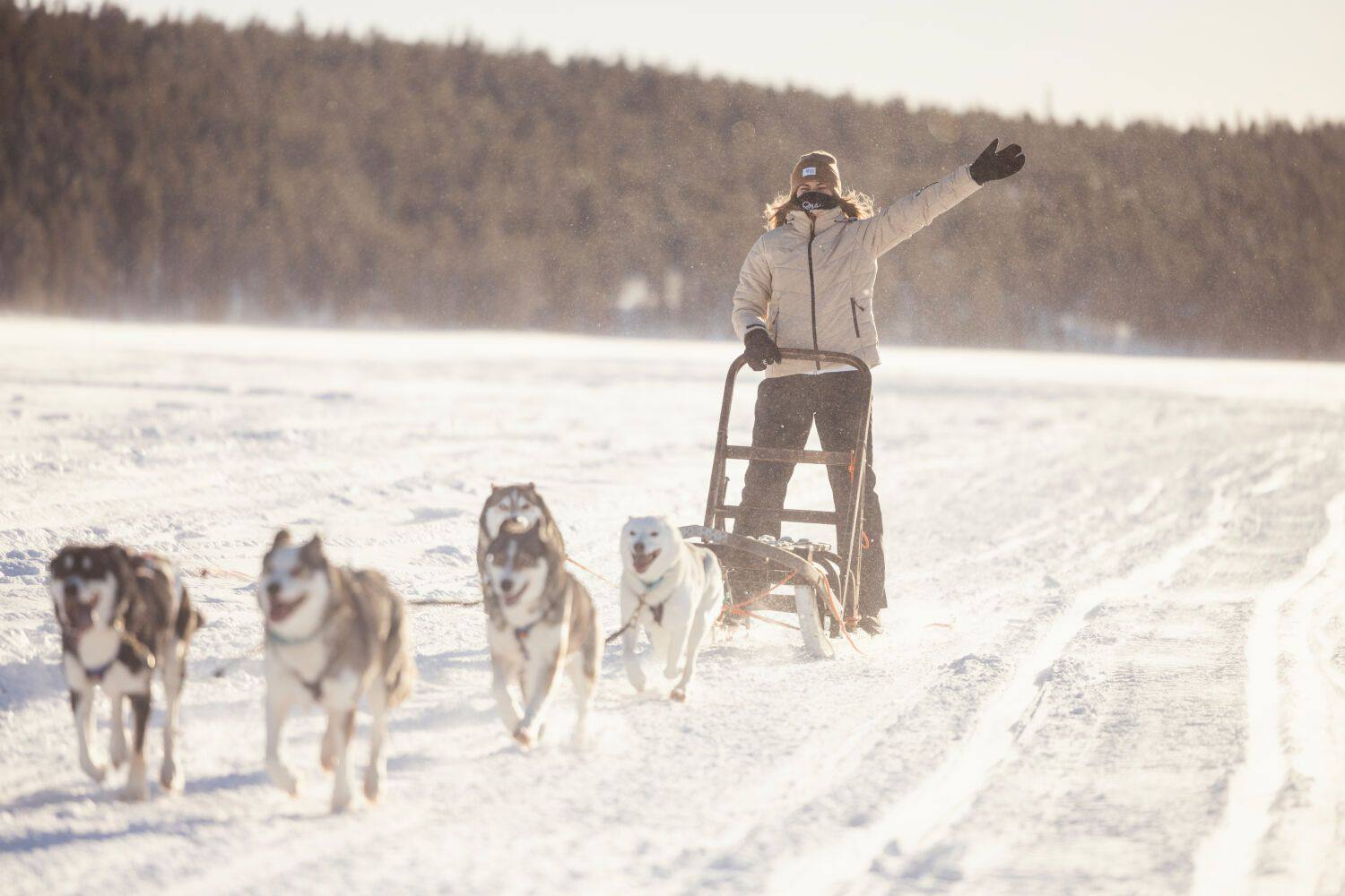 Halti Women's Trusty Dx Short + Ski Pant Musta 05