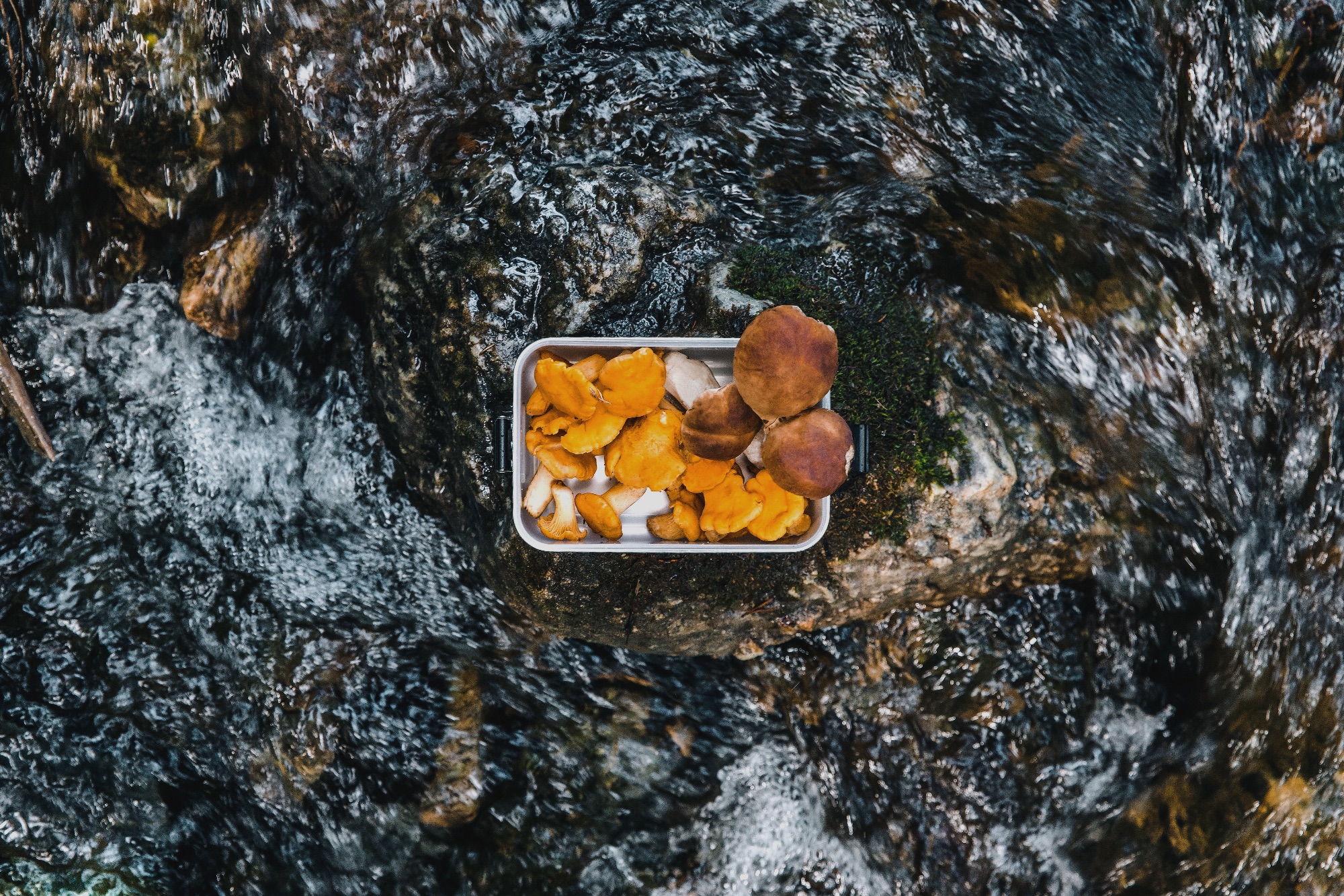 Sigg Metal Box Plus L  04