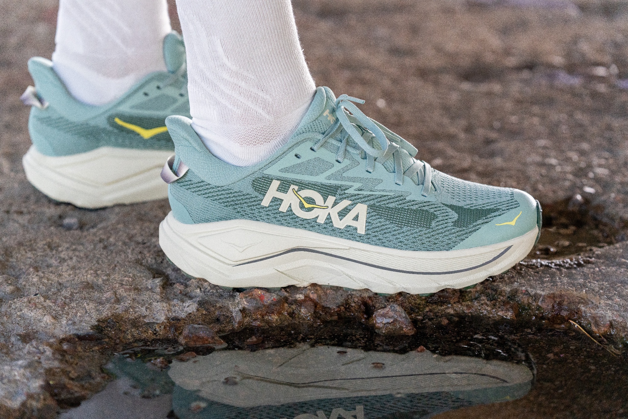 Hoka Men's Challenger 8 Jade / Truffle Salt 15