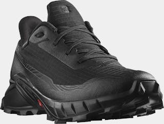 Salomon Men's Alphacross 5 GTX