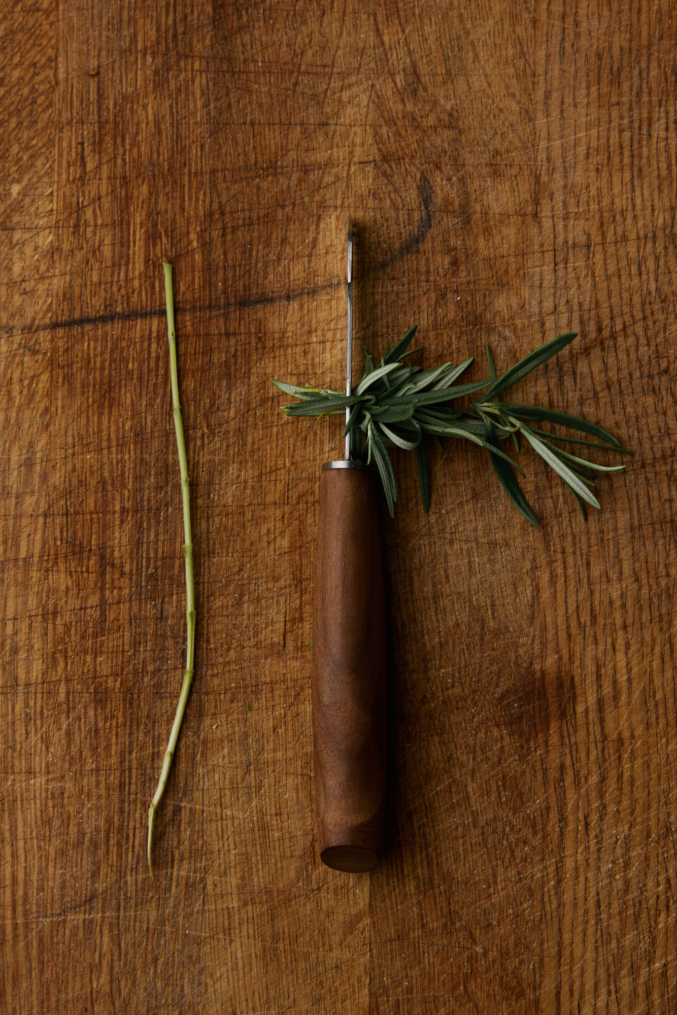 Marttiini Foraging Knife Kerääjä  05