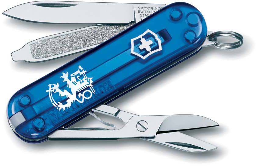 Swiss Army Victorinox Nail Clippers With Nail File, Stainless, In Blister 2  Pics : Amazon.in: Beauty