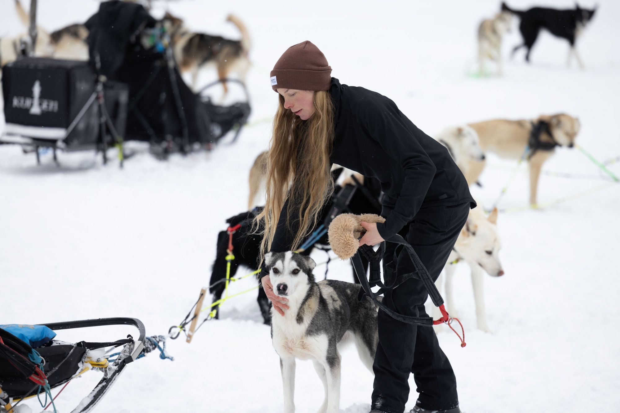 Halti Women's Routa Winter Pant Musta 06